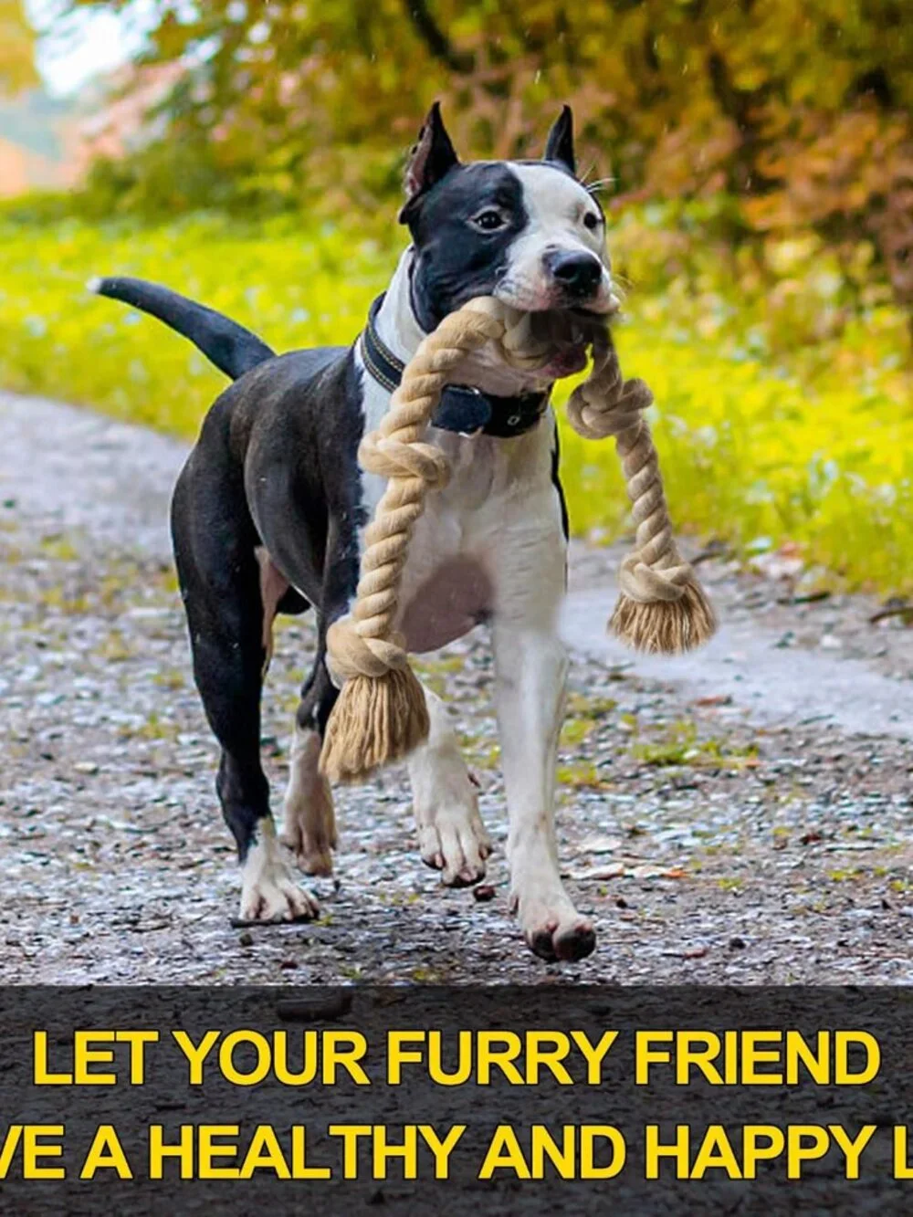 Dog Rope Toys for Large/Medium Aggressive Chewers, Tough Cotton Chew Toy, 3 Feet - Picture 4 of 7